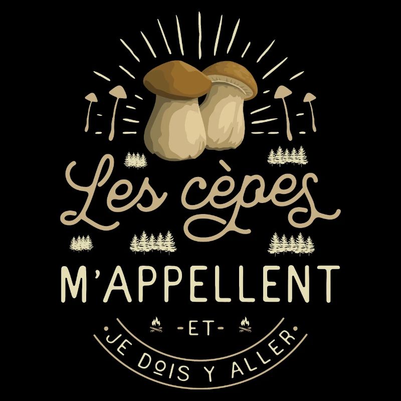 Cèpe Champignon Cueillette Cèpes Champignons