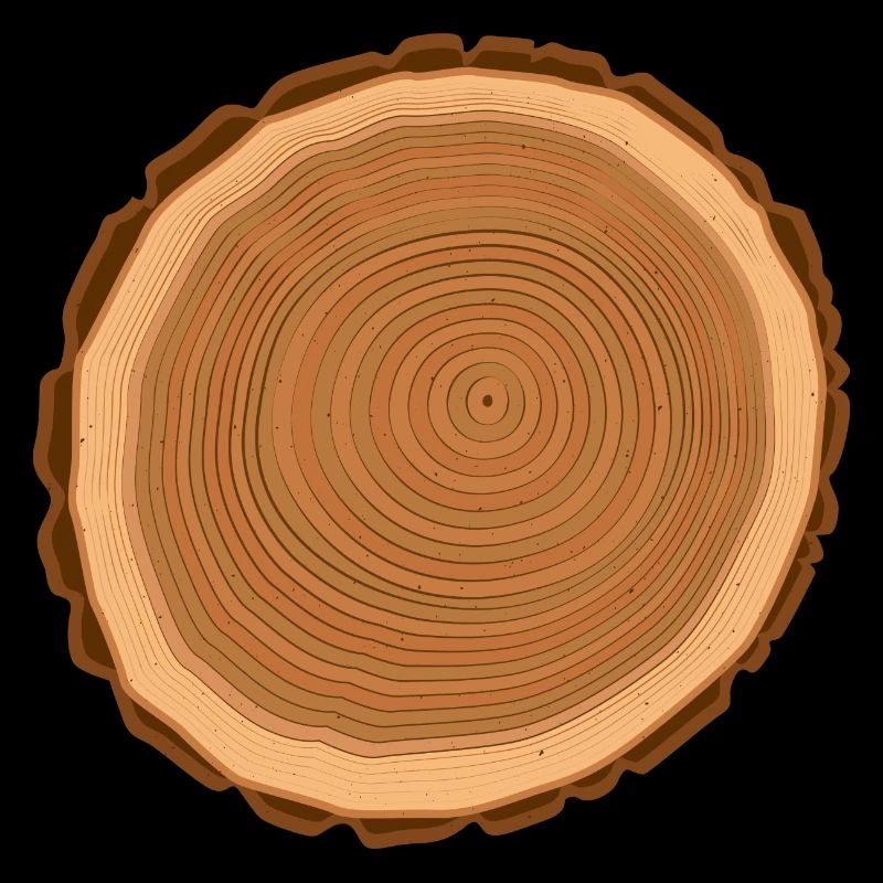 Holz