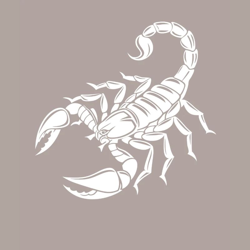 Skorpion - Giftstachel - Artenschutz - Lebensraum