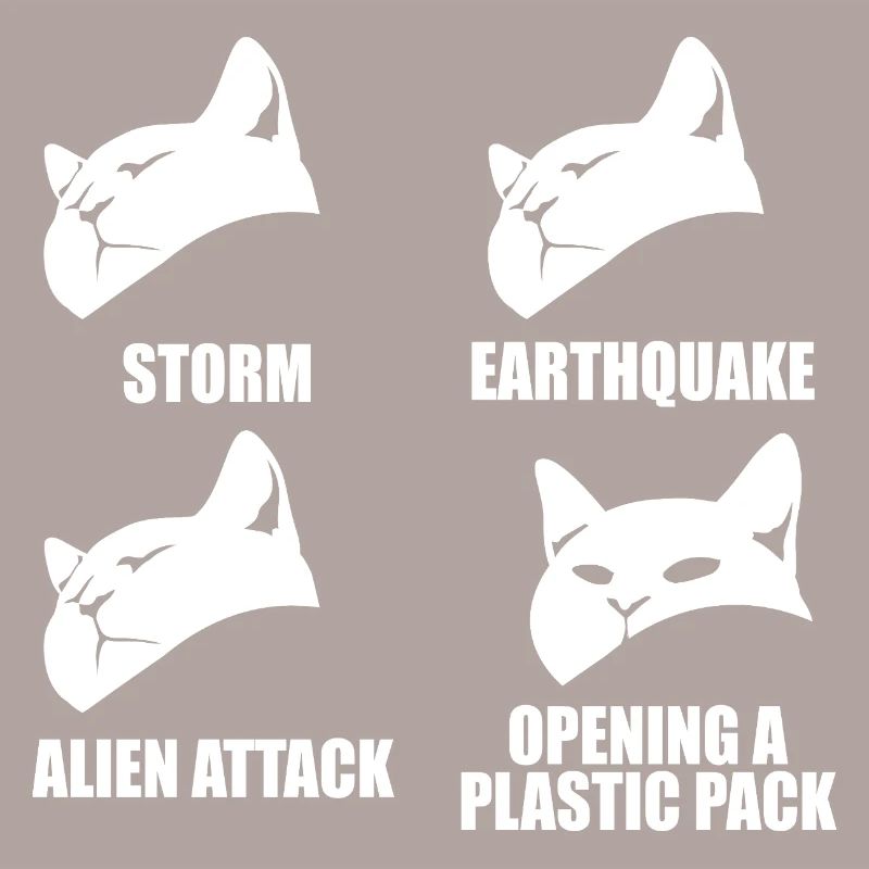 Chat - perception sélective - dire