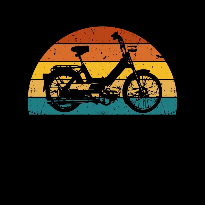 DDR Mobylette Oldtimer Roller Mofa Scooter 2 Takter