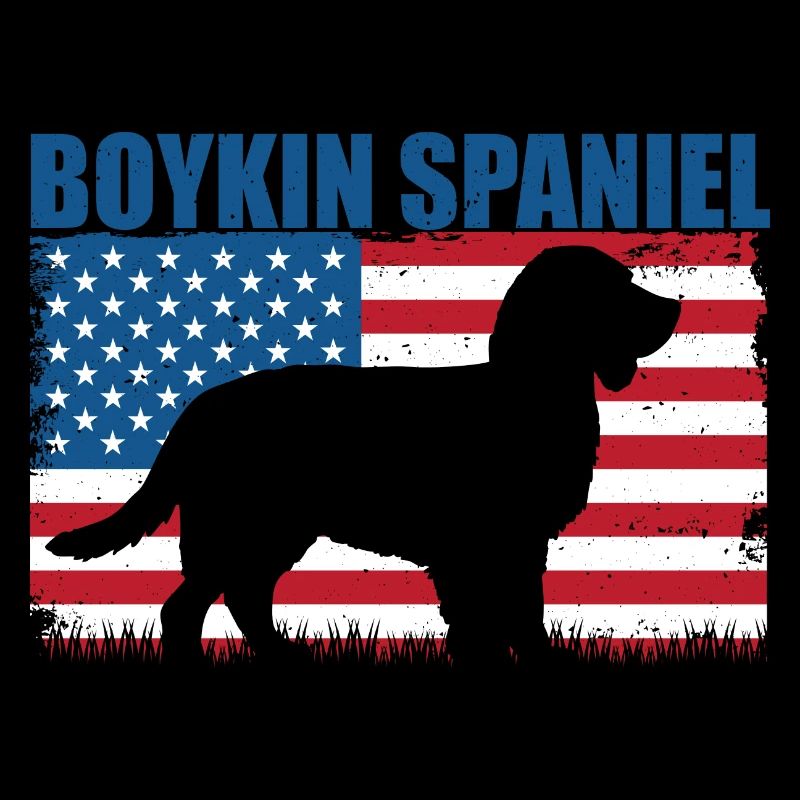 Épagneul Boykin
