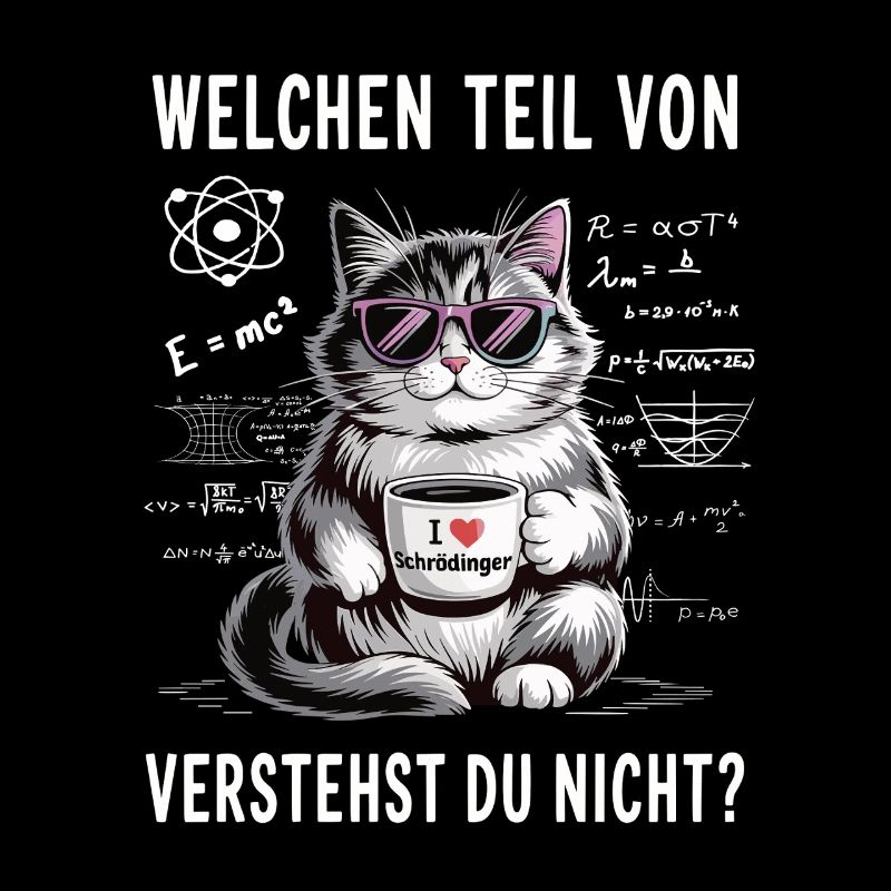 Welchen Teil von Quanten Physik vestehst du nicht