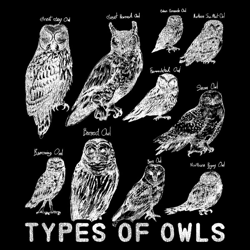 Hibou rapace