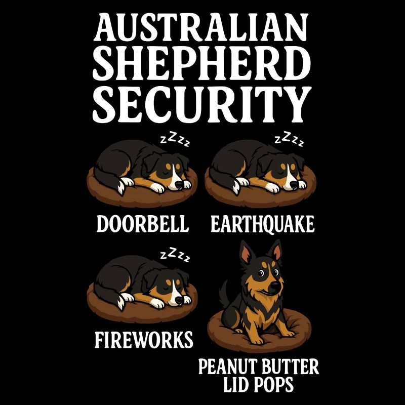 Australischer Schäferhund