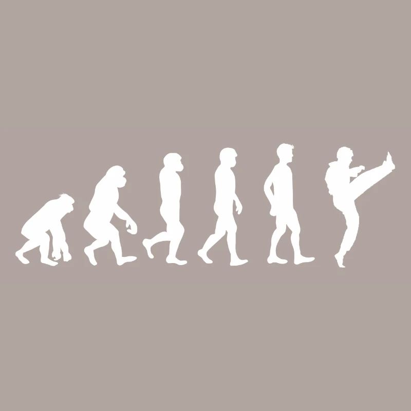Evolution Karate