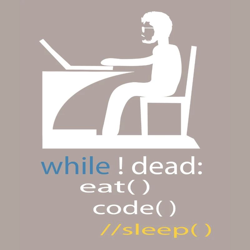 Softwareentwickler Programmierer Geschenk