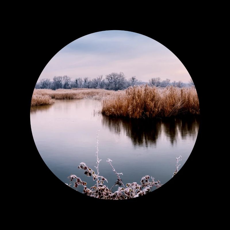 Nature in a circle