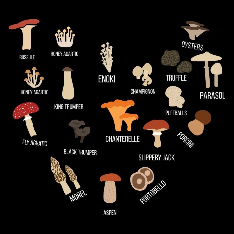 Cueilleur de champignons