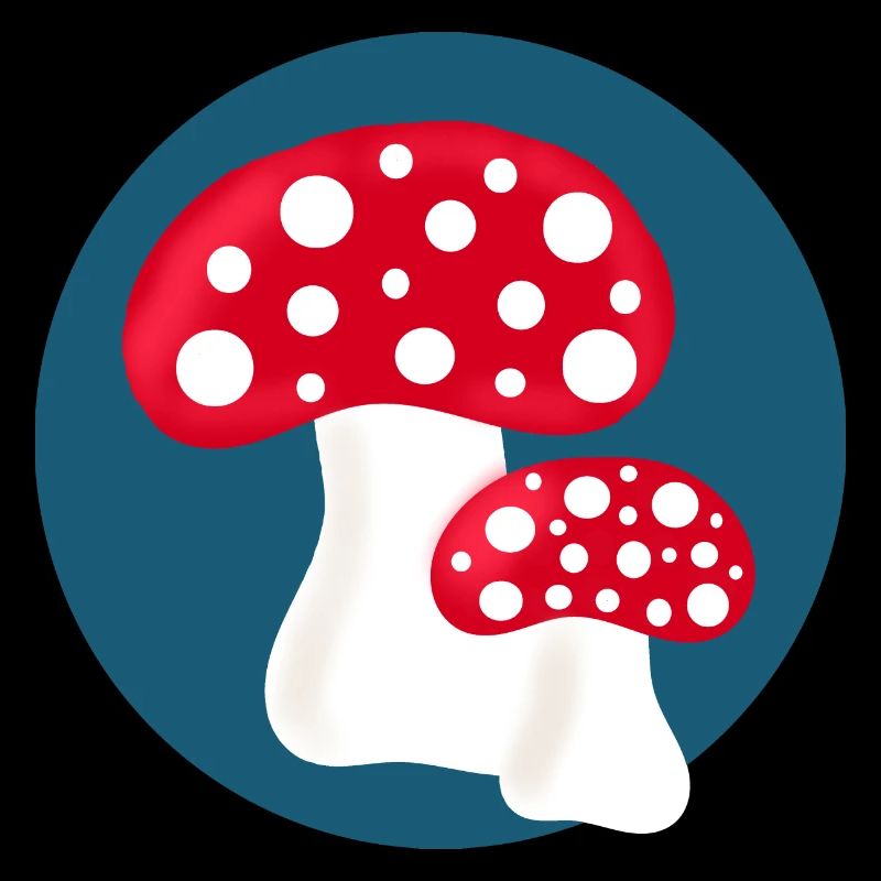 Toadstool, mushroom in the woods gift