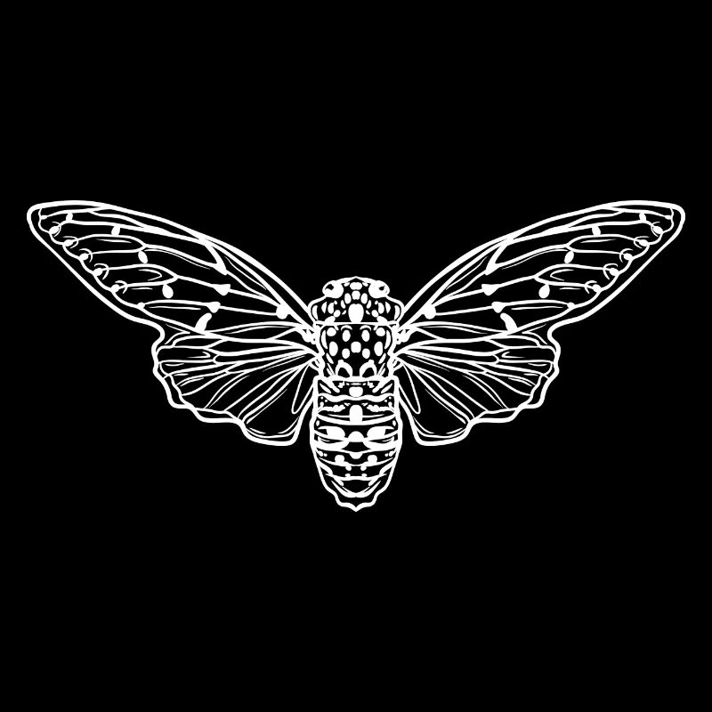 Cicada Minimalist