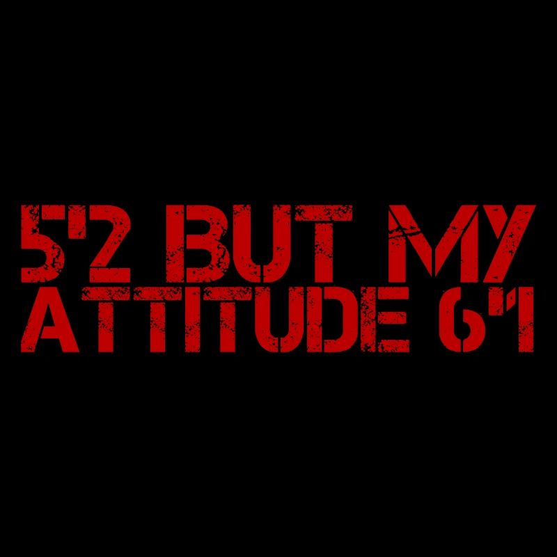 5'2 Mais mon attitude 6'1 2