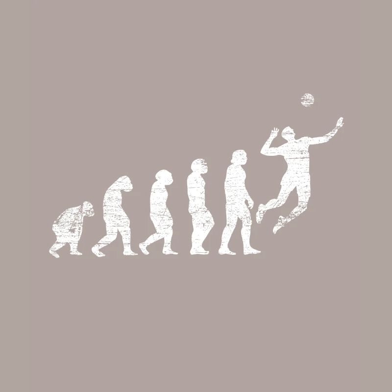 Evolution Volleyball
