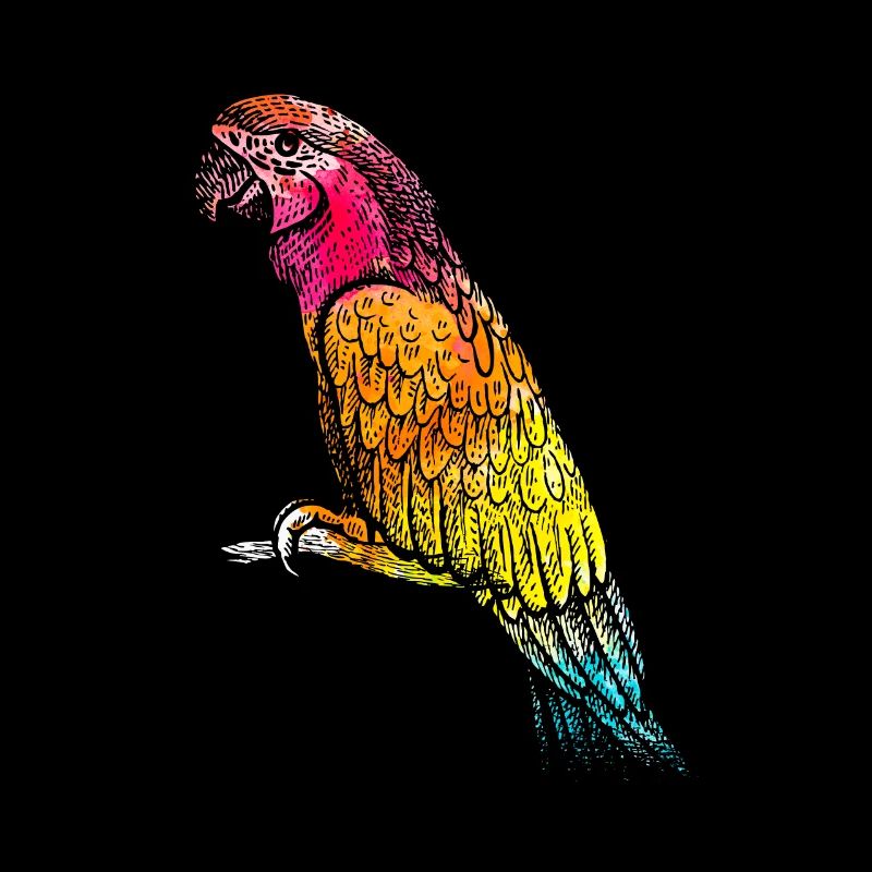 Animal perroquet