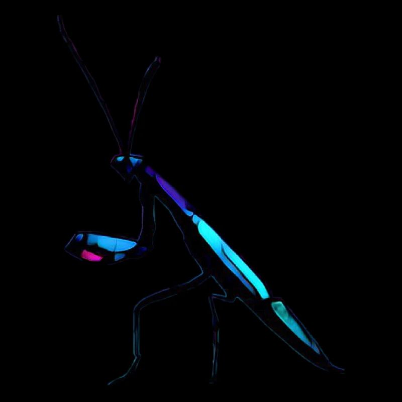 Biolumineszierende Beutegottesanbeterin