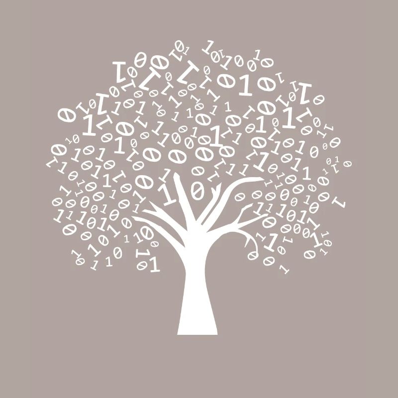 Programmierer Binärer Baum