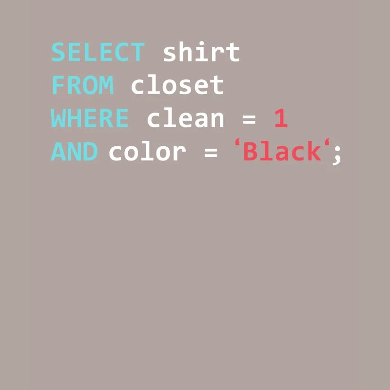 Programmer Database Funny SQL Query