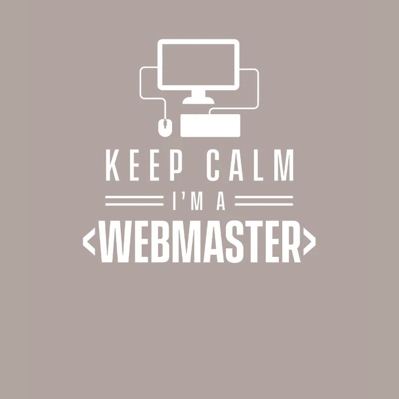 Web Master développeur webmasters web web team