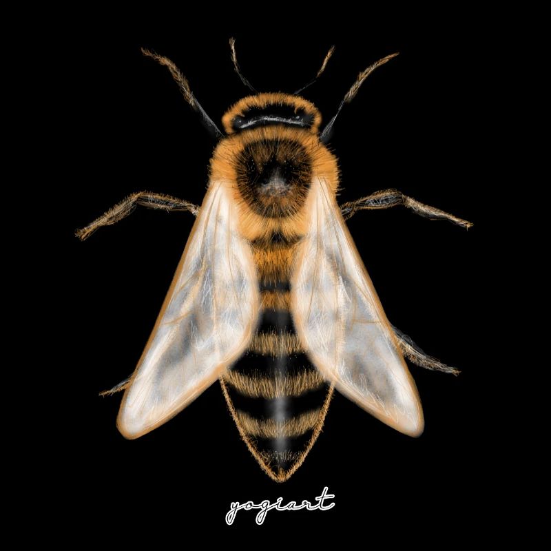 abeille