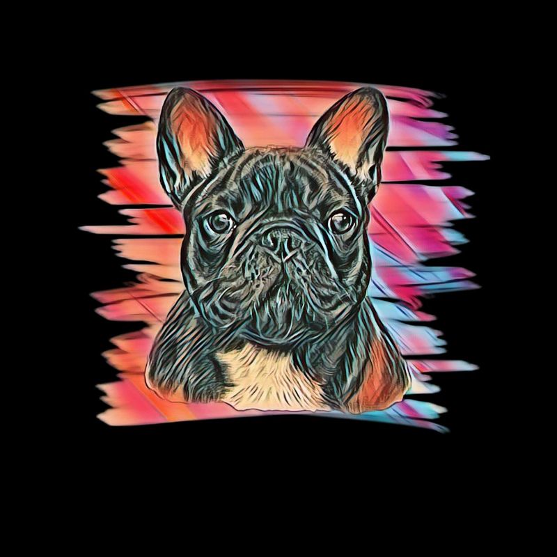 Bulldog français