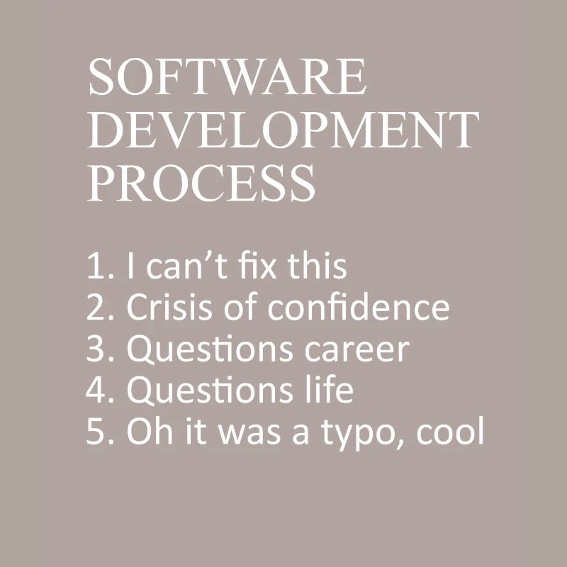Web Developer Software Development Process Javascr