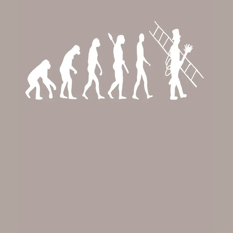 Évolution du ramoneur Évolution du ramoneur