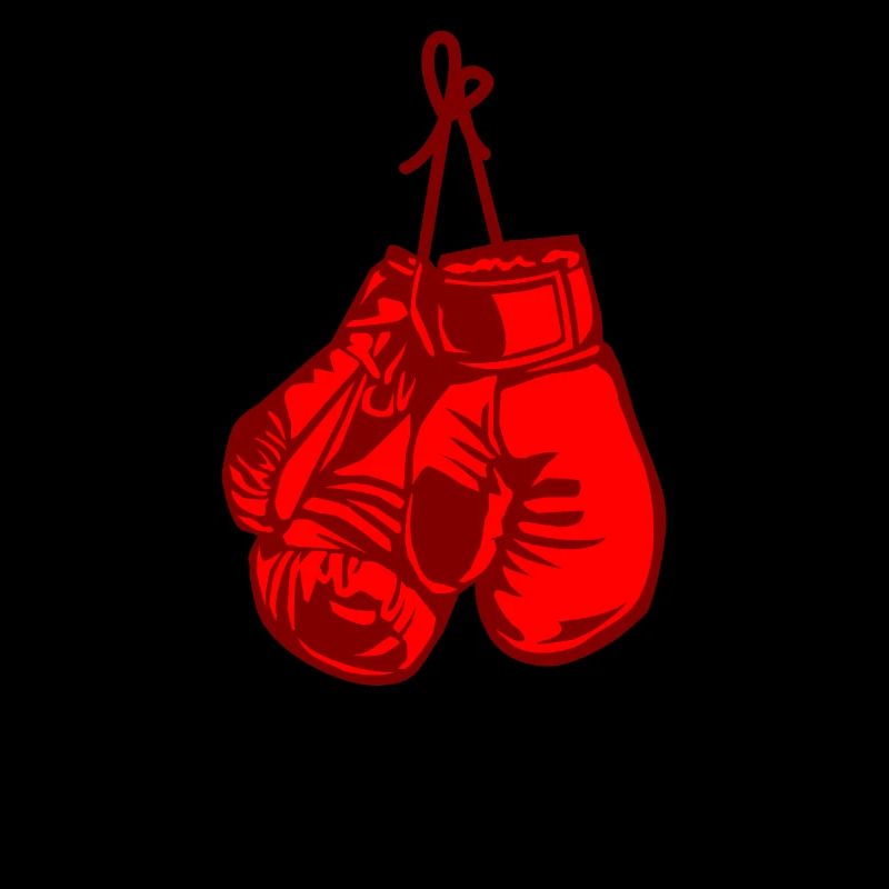 Boxe Boxer Gants De Boxe Cadeau