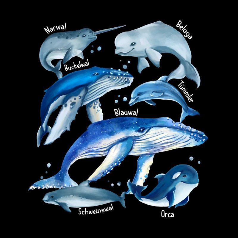 Espèces de baleines Diverses baleines Baleines Bleues Orca Narwal Bel