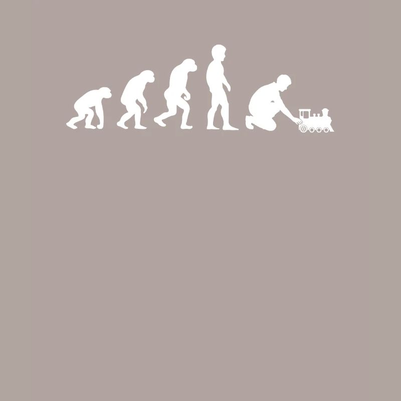 Evolution train miniature