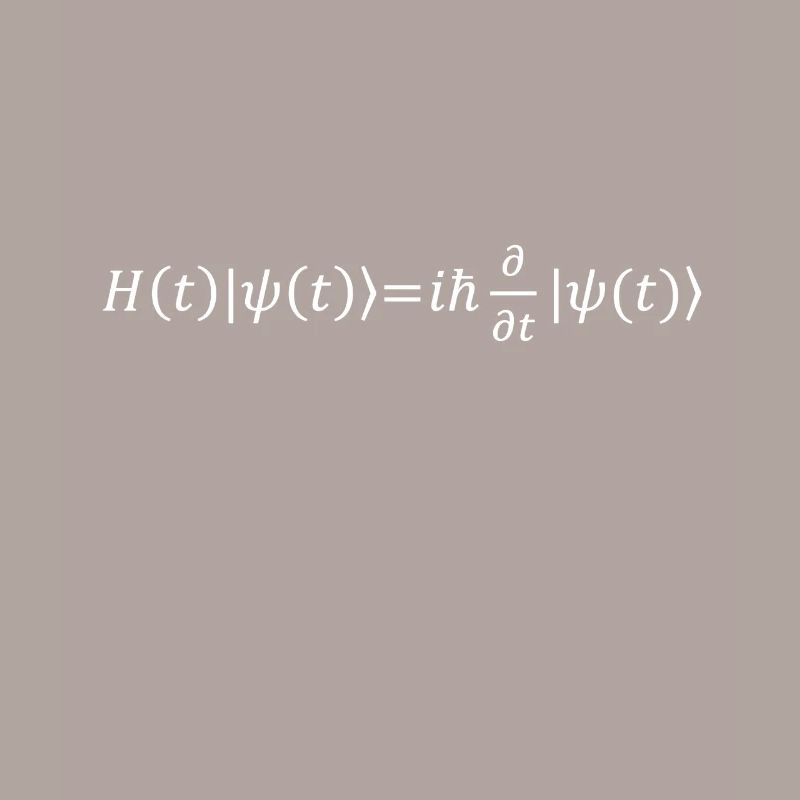 Schrödinger Equation Physicist Gift Physics