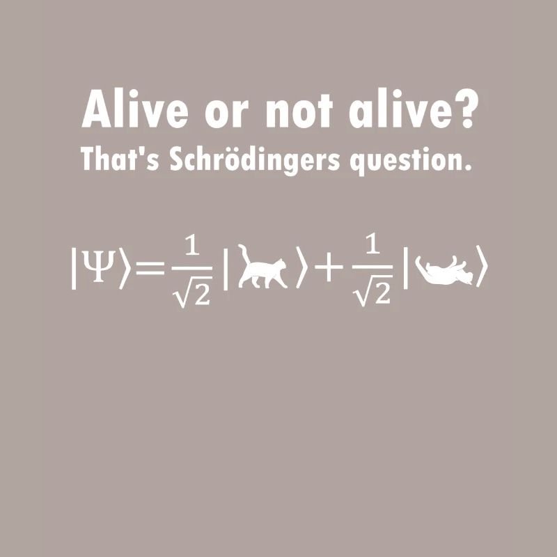 Schrödinger's Cat - Physicist Gift Physics Nerd