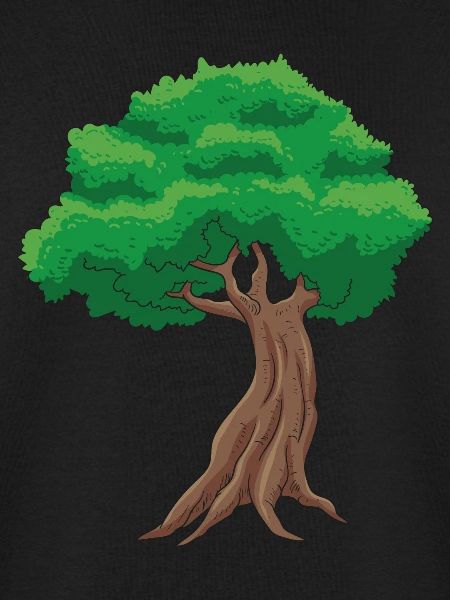 Bonsai Baum