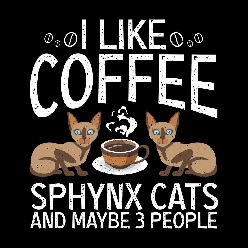 Sphynx cats chat nu chat propriétaire sans cheveux