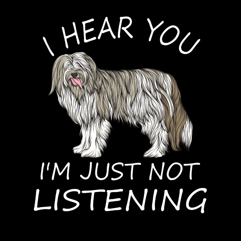 Bearded Collie