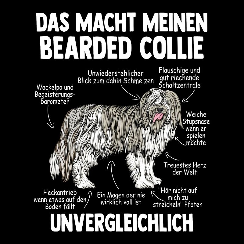 Bearded Collie