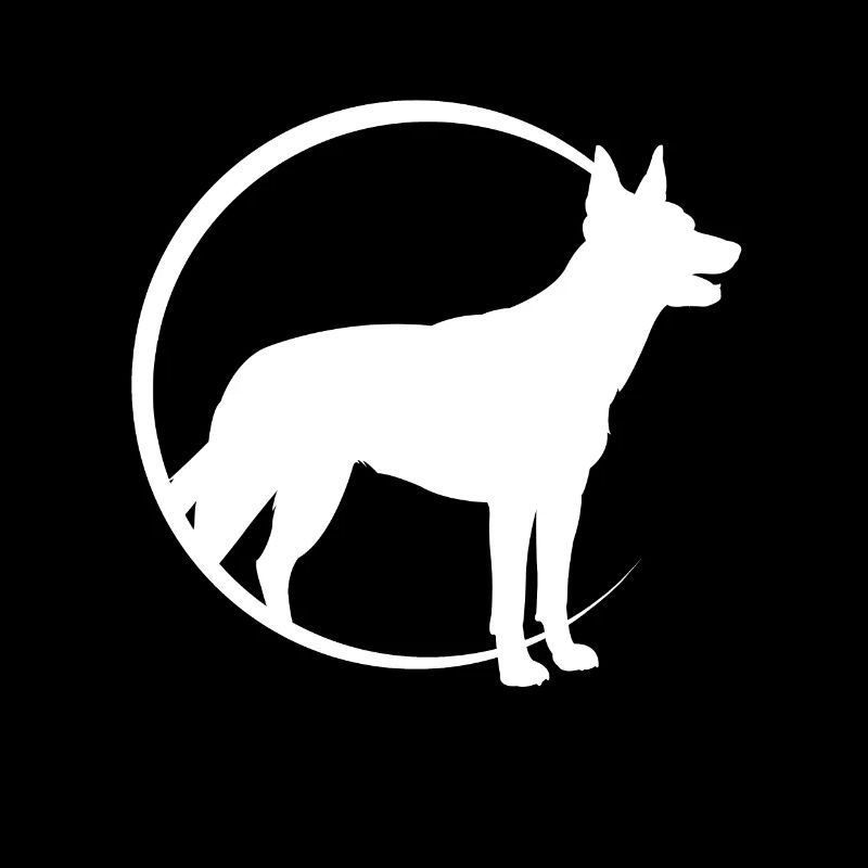 Australian Kelpie