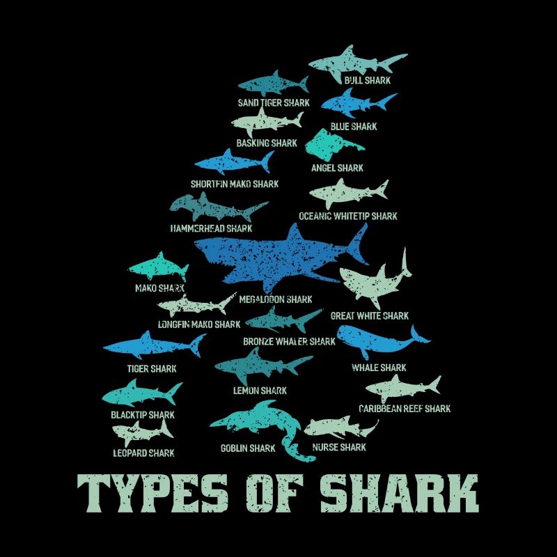 Requin
