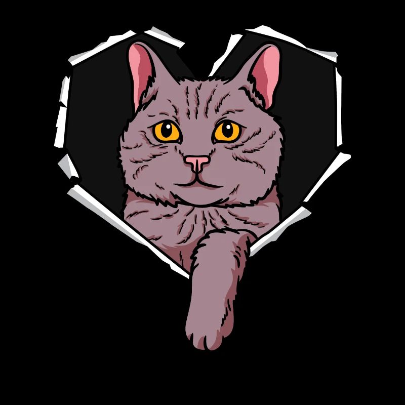 Torn hole crack cat