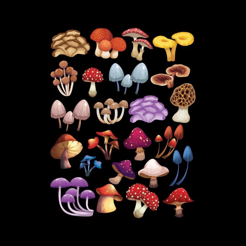 Collection de champignons Cueillette de champignons Cadeau Nature Champignons