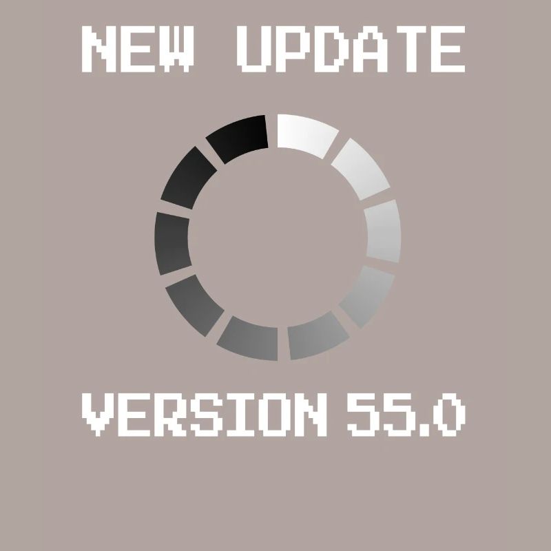 Programmer 55th Birthday informatik Gift