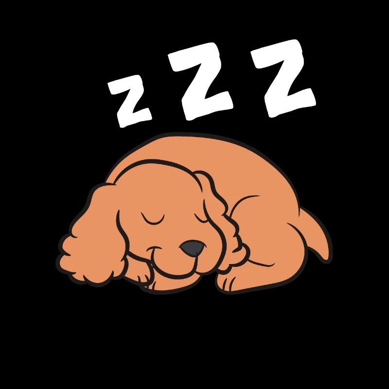 Cocker Spaniel Hund Schlafen Pyjama Cocker