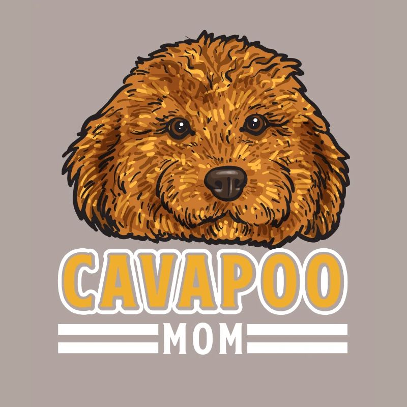 Cavapoo Cavoodle Capoodle Hund
