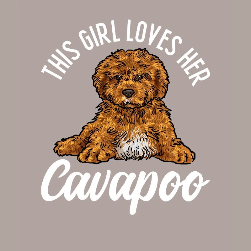 Cavapoo Cavoodle Capoodle Chien