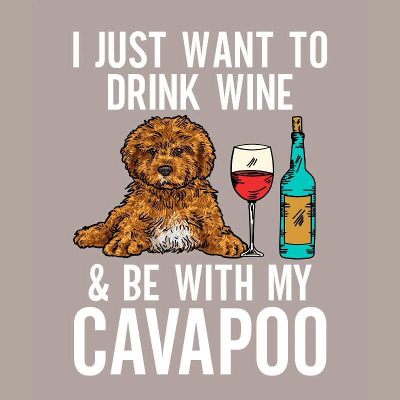 Cavapoo Cavoodle Capoodle Dog