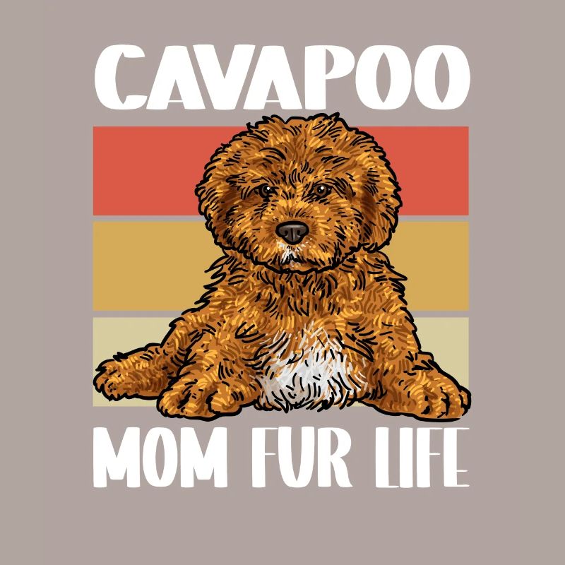 Cavapoo Cavoodle Capoodle Chien