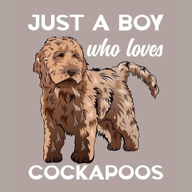 Cockapoo Hund