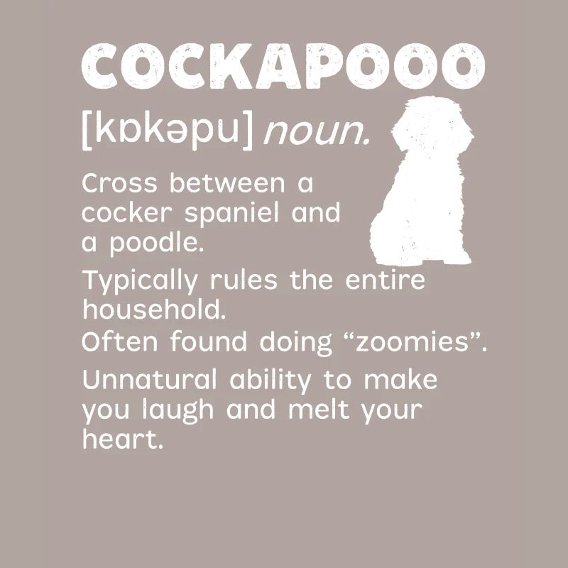 Cockapoo Dog