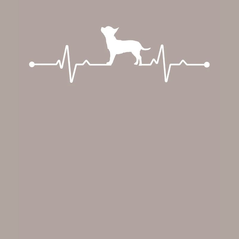 Weiße Schweizer Schäferhunde - Weiße Schweizer