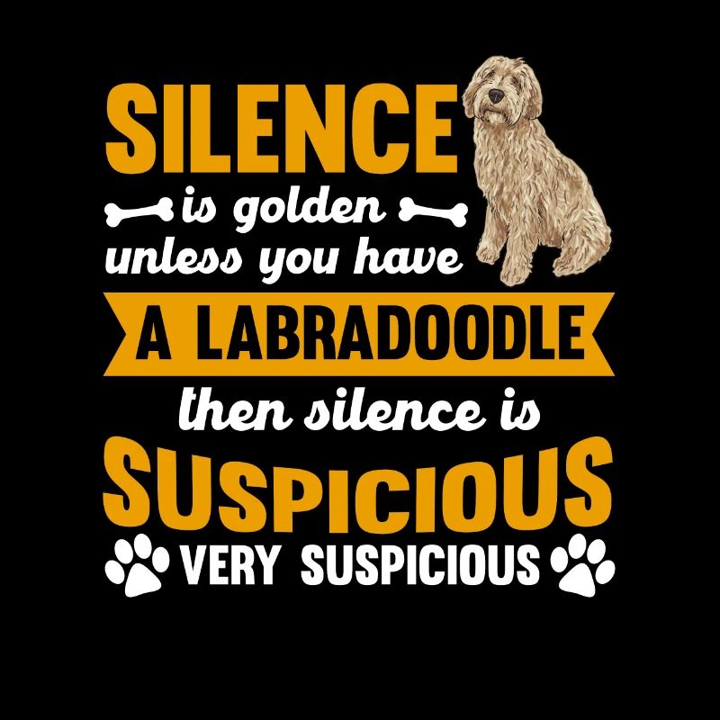 Labradoodle Hund
