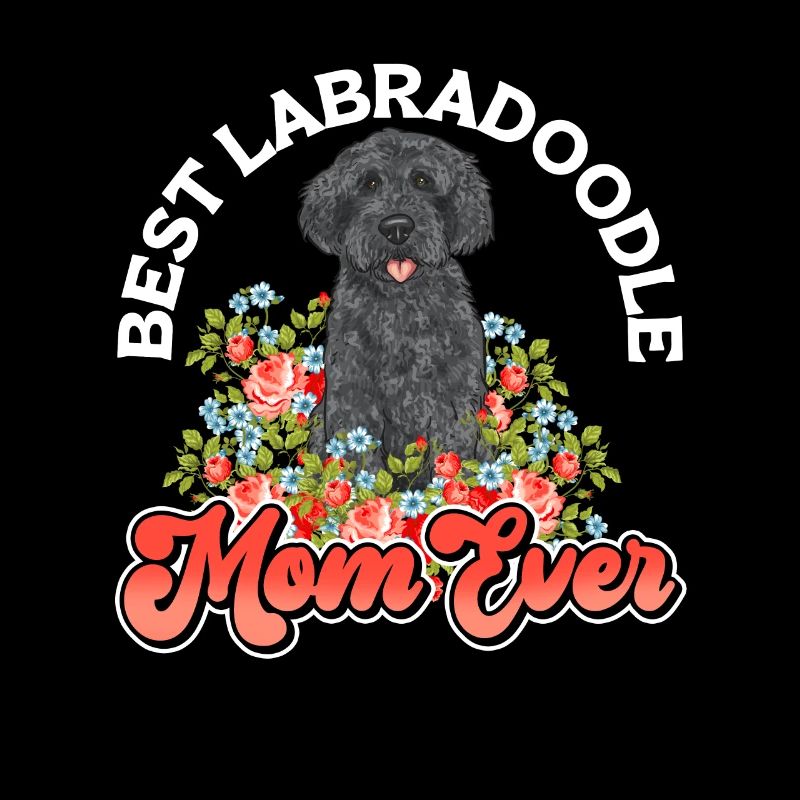 Labradoodle Hund